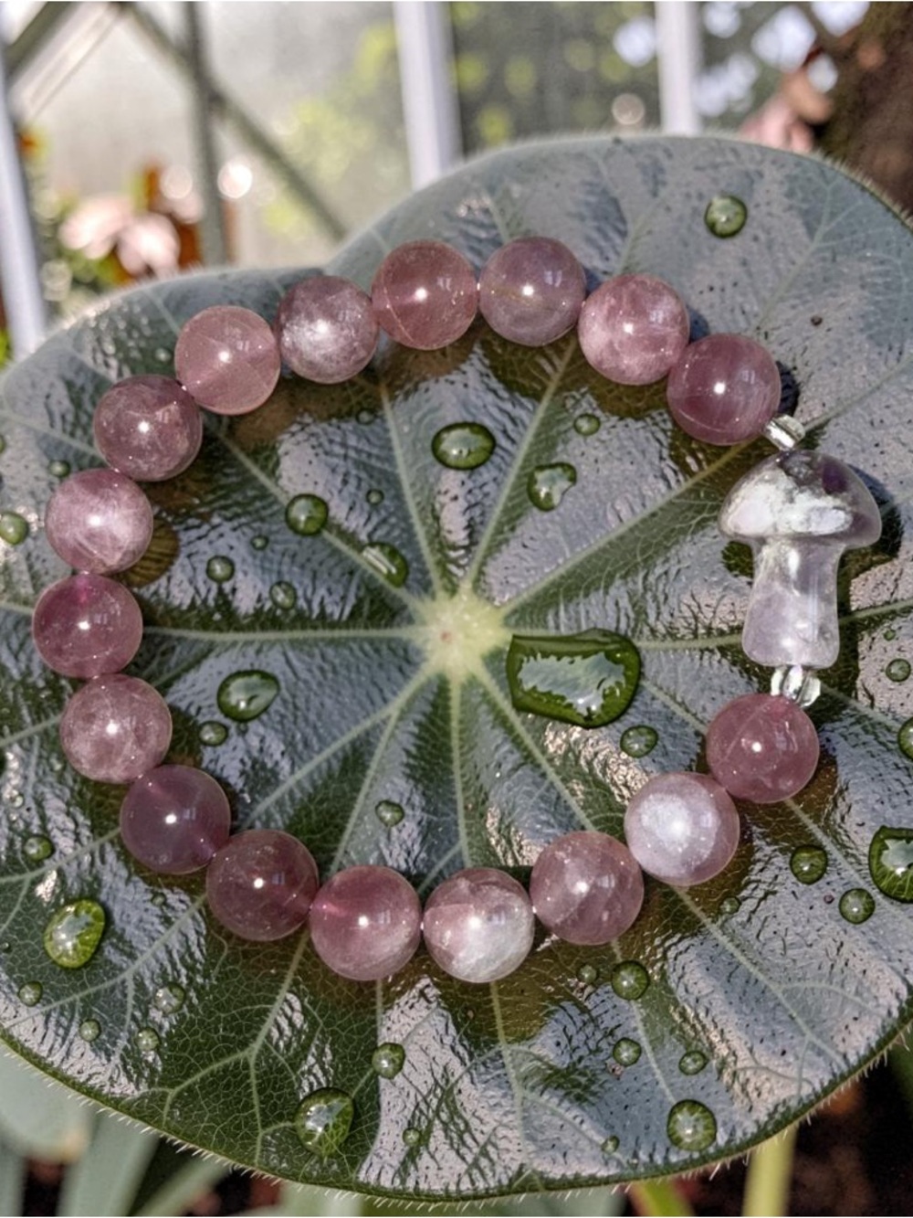 10mm lavender Madagascar Rose Quartz 💜